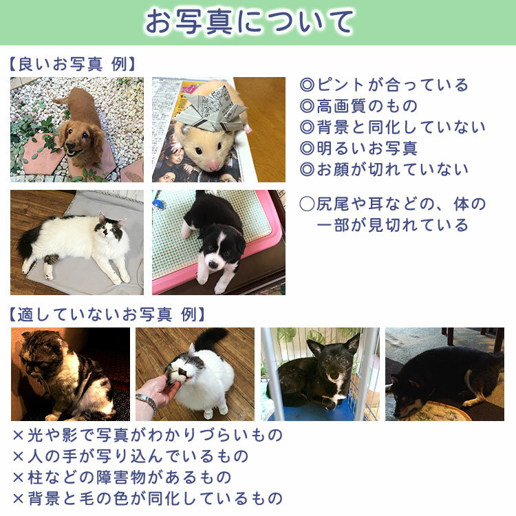 いつでも一緒♪世界に一つのポーチ♪写真から作るオリジナルポーチ
